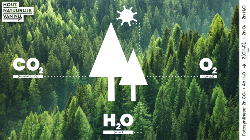 Nieuws_Houtographic_Fotosynthese-860x99999-1